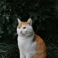 ¥�µ�����̫�����˰ɣ���