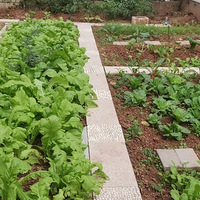 ��õ�����ְײ�