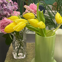 ����һ������ĺ�������ɫ������