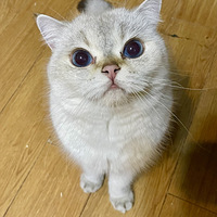 �������������㣬���ǿ������������ɡ�