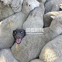 иС˼¼գȫҩ