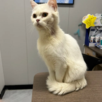 �Ҽ����Ӽ�ؼ�����������������������