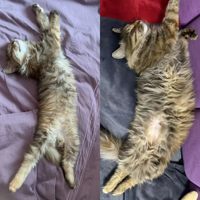 ����6���£�С�������