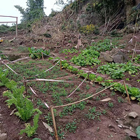 �����Ҳ��ɹ���ҵĲ�