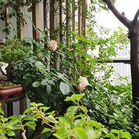 �ҵ���̨������