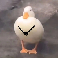 鵢ȣʵ֣̽㳦˶