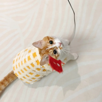 �����޶���������١�