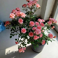 ���꿪�����¼�����