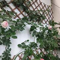 �̵�:��Щ������̨�����Ļ�