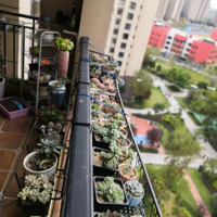 �ӼҸ������ĵú� ������һ����̨