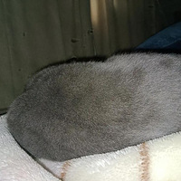 �����ڼң������д󶬹�����