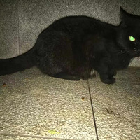 ������С���Ǹ���Ů