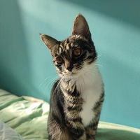 �껨�����᲻���ľ�һ��