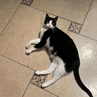 �⿴����ôҲû��20���