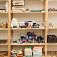 10��wanghong�������ɲ�Ʒ�����������ż���