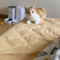 ����������С���� ��Ҫ�������� ����������