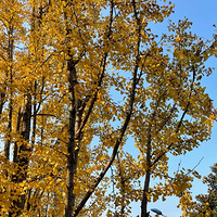 ��������ӿ�ʼ��������ɽ��·�������