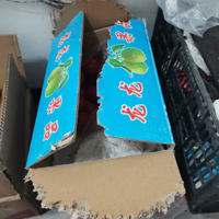 èΪ����������ڿп�