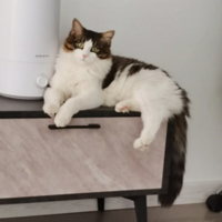 ����ҿ����Ҽҳ�ë��