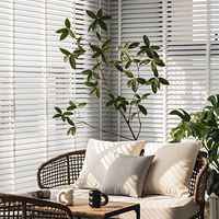 ��԰���249�O��ҵ��˫����ش�̫ˬ�ˡ�С��̽��63�ڡ�