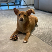 14w��װ70ƽ������ˮ���������Ҹ����ң�δ��׼������