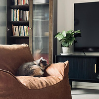 ��ס�ˣ�è��׼���úܲ��������Ӻ�����