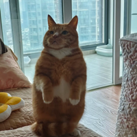 ú�����˽�һ��