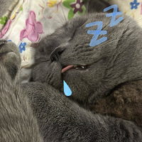 ��˭����ס��