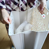 12��С����۵��ճ����գ����ǣ�