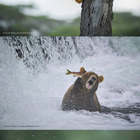 ���ʸ�Ц������Ӱ������Ʒ����