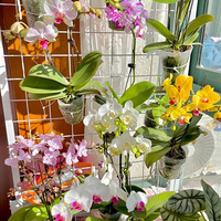 ������Ŀ��Ǻ�����