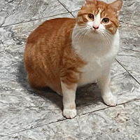 �������ҵ�Ư��С̫�࣡����