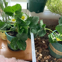 ��ʼ����ݮ�˼�¼һ��