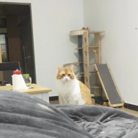 è������Ȼ����ô����