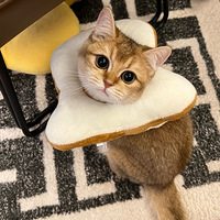 �쿴�ҵ�è�����ɰ�der��