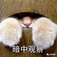 ˿ʮģޣ˵±Ӳ飿