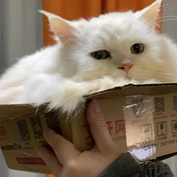 ������� ����С�ɰ� ��������