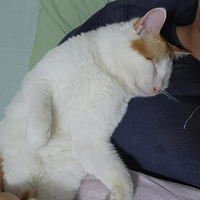 ˭��ë��ô˯��������������ֶ�˯����