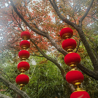 �����ڼ�ס���Լ���Ժ����Ѿ�������֪��·