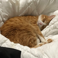 �����ٵĺ����Ƽ�