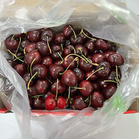 սȫ˳ӣ120.2Ԫ3j5˵İ