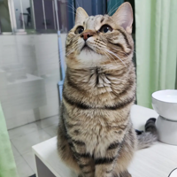 һ�뵽����èèҪ����һ�ܾͽ��ǵ�˯����