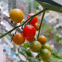 �ﲥ��̨���� ��������