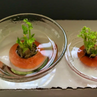 ˮ����ܲ��ʹ���