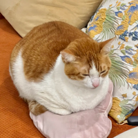 �ҵ�15�����С��