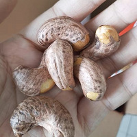 ŵļƷرãع