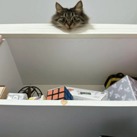 ��ë����ල����û�кúù���