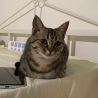 ����ľ����ҵ���ñ���Ŷ