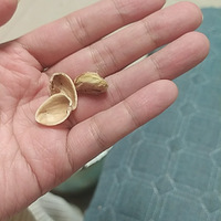 ʱ