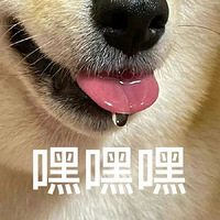 㶫ĺ׽ȫƹ㣬ͳһ10ͺʱȲ̧
